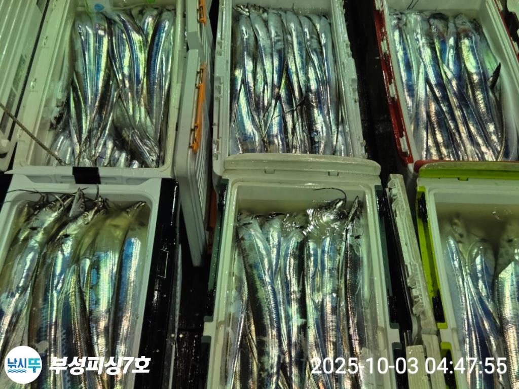 F2790210JH.jpg