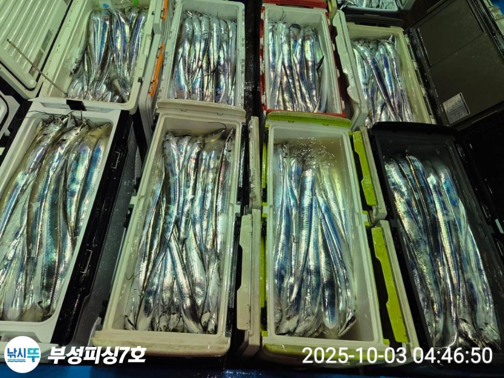 F2790211QA.jpg