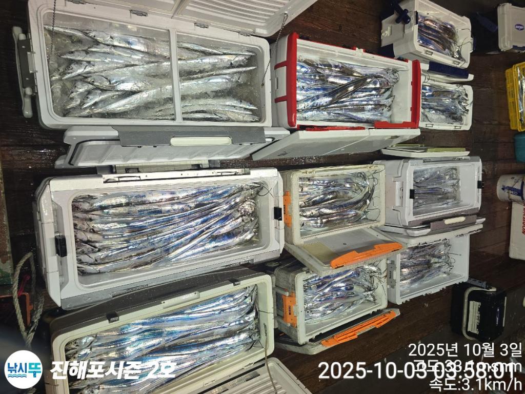 낚시뚜,갈치,진해행암항,진해포시즌 2호,낚시뚜20