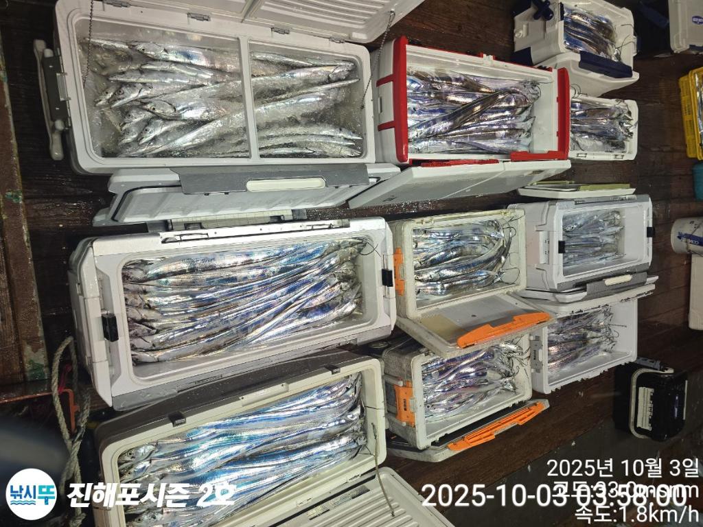 낚시뚜,갈치,진해행암항,진해포시즌 2호,낚시뚜19