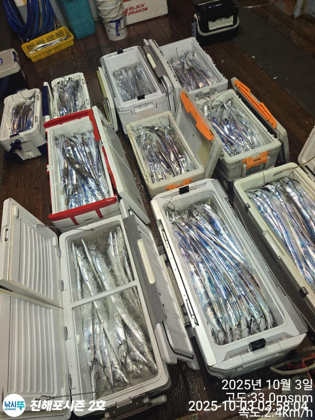 낚시뚜,갈치,진해행암항,진해포시즌 2호,낚시뚜17