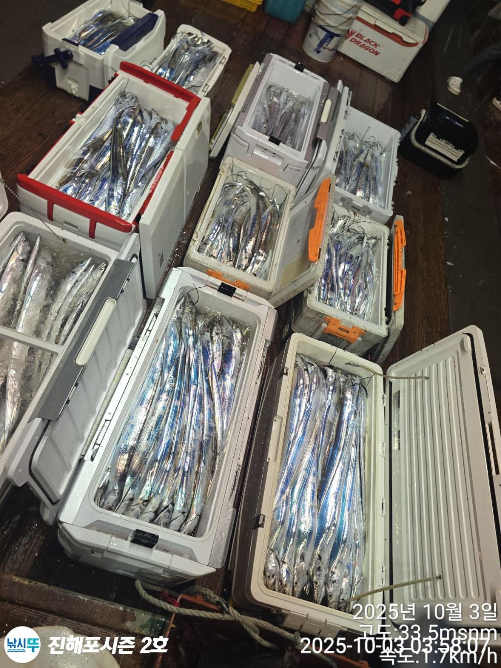 낚시뚜,갈치,진해행암항,진해포시즌 2호,낚시뚜16