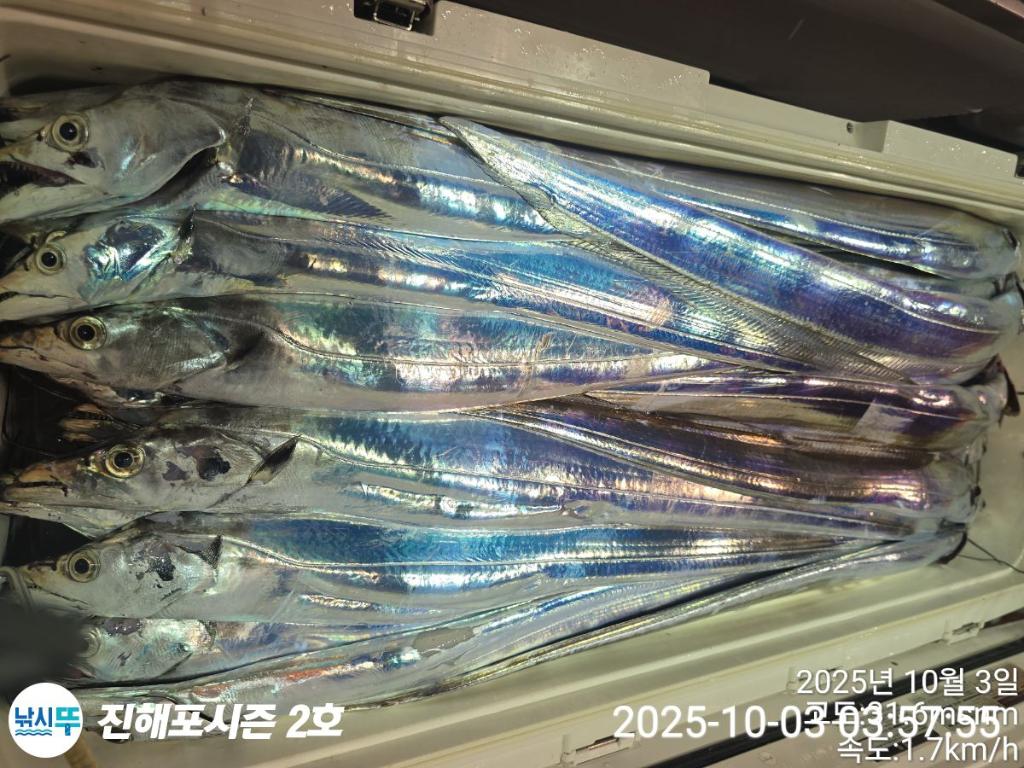 낚시뚜,갈치,진해행암항,진해포시즌 2호,낚시뚜15