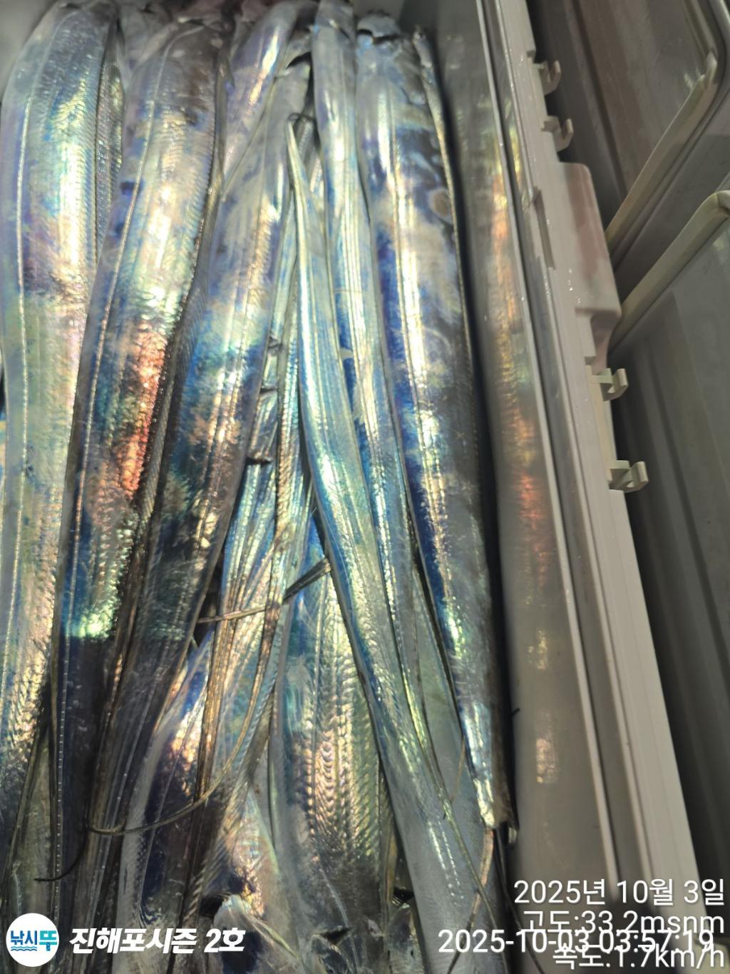 낚시뚜,갈치,진해행암항,진해포시즌 2호,낚시뚜11