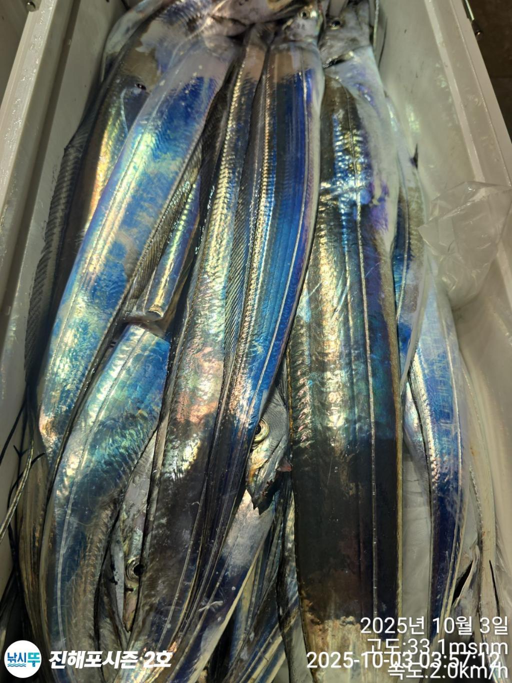 낚시뚜,갈치,진해행암항,진해포시즌 2호,낚시뚜9