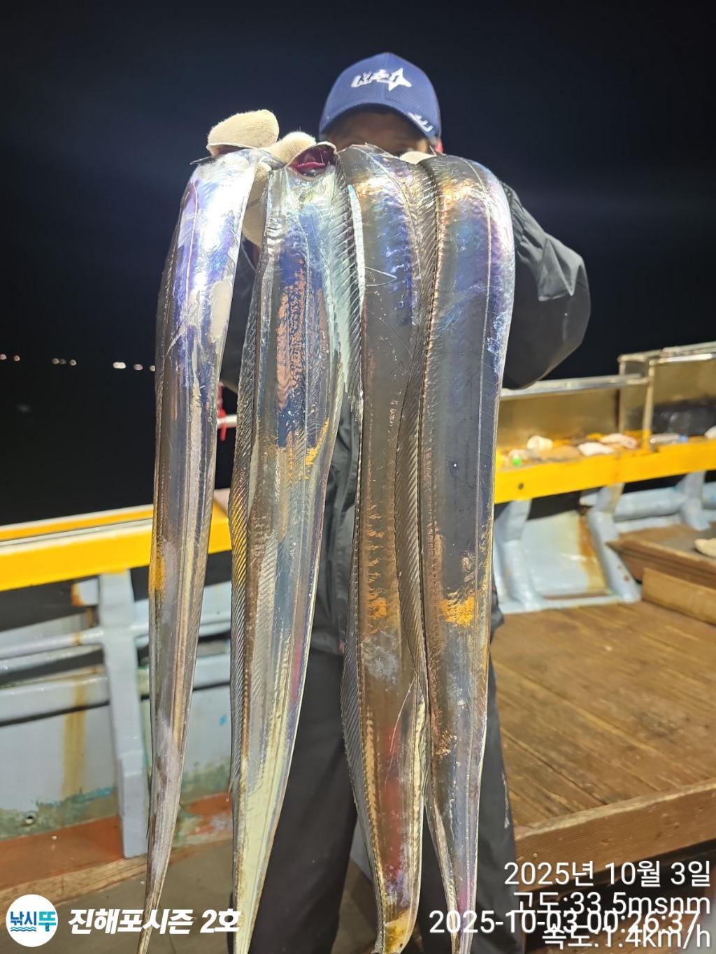 낚시뚜,갈치,진해행암항,진해포시즌 2호,낚시뚜0