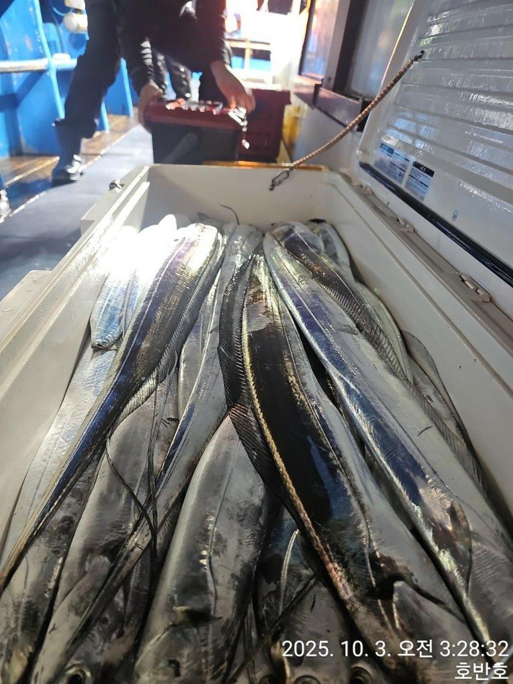 낚시뚜,갈치,통영 신전항,통영호반호,낚시뚜34
