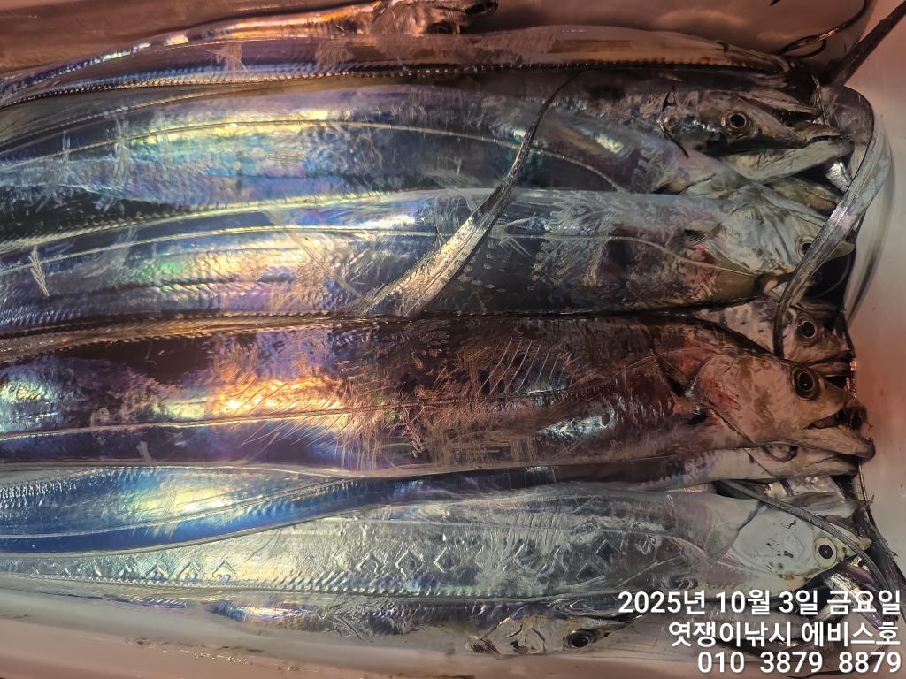 F279033699.jpg