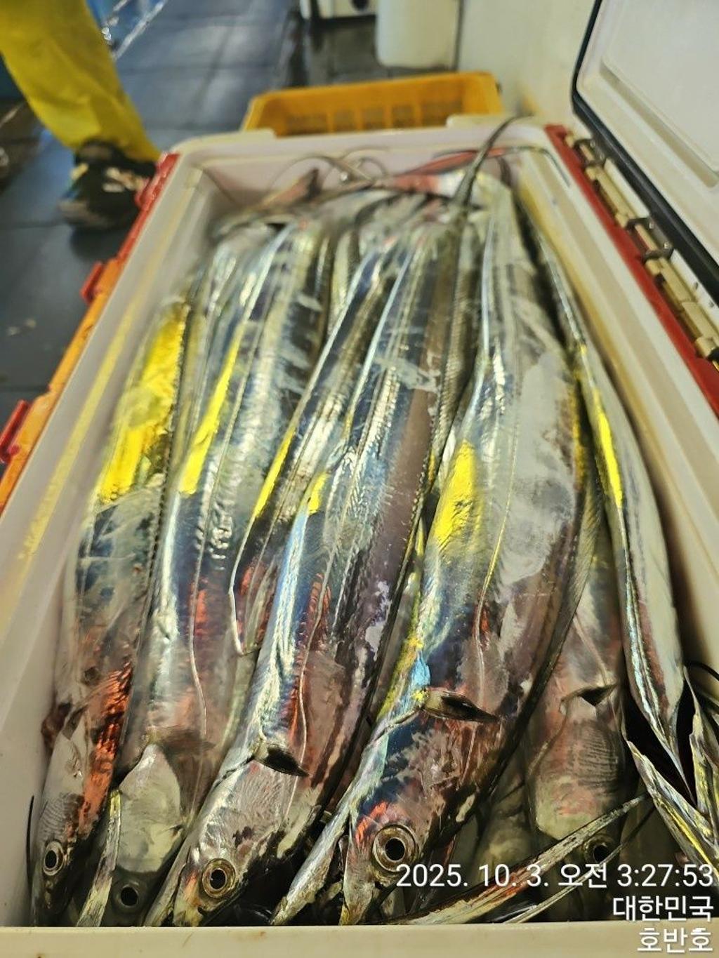 낚시뚜,갈치,통영 신전항,통영호반호,낚시뚜20