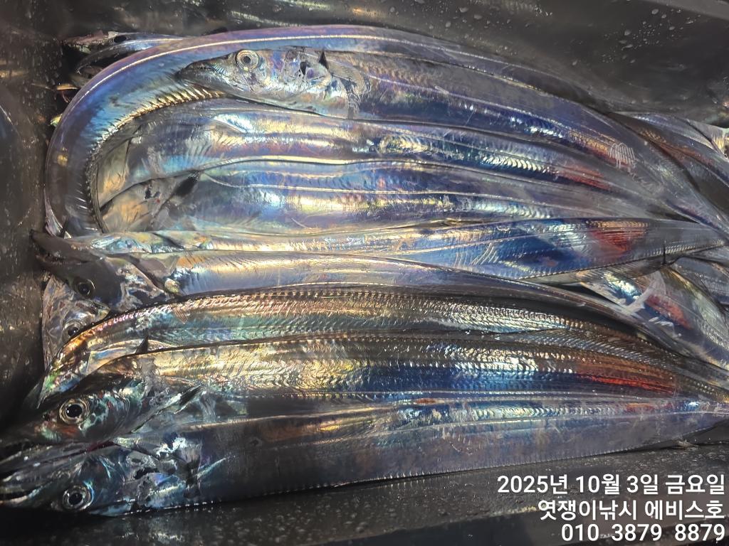 F2790352V4.jpg