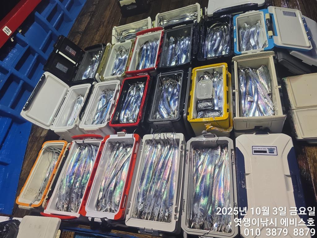 F279037096.jpg
