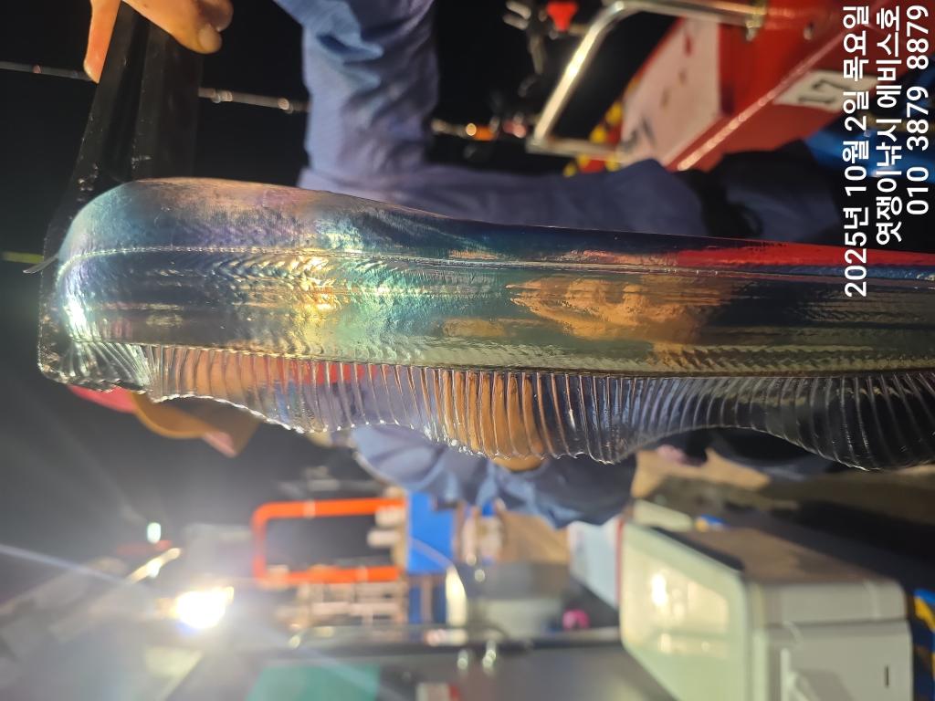 F2790385FE.jpg