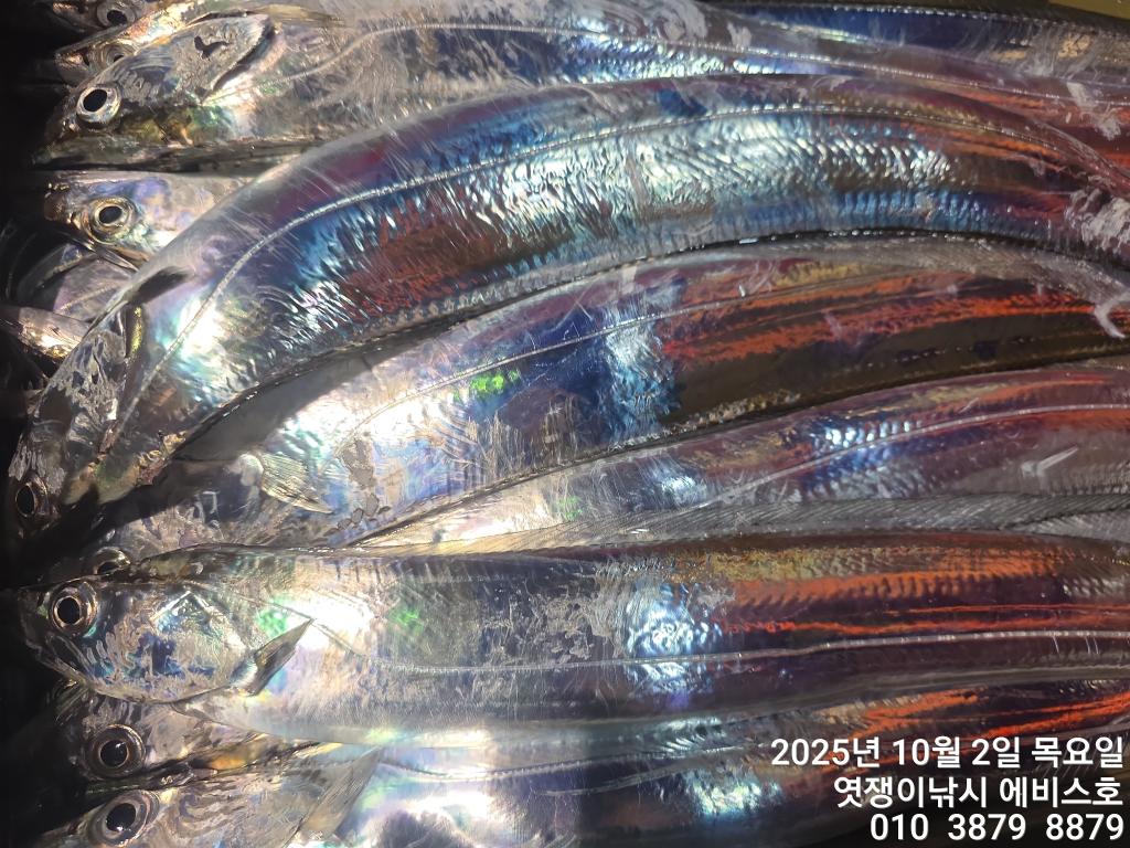 F2790387DR.jpg
