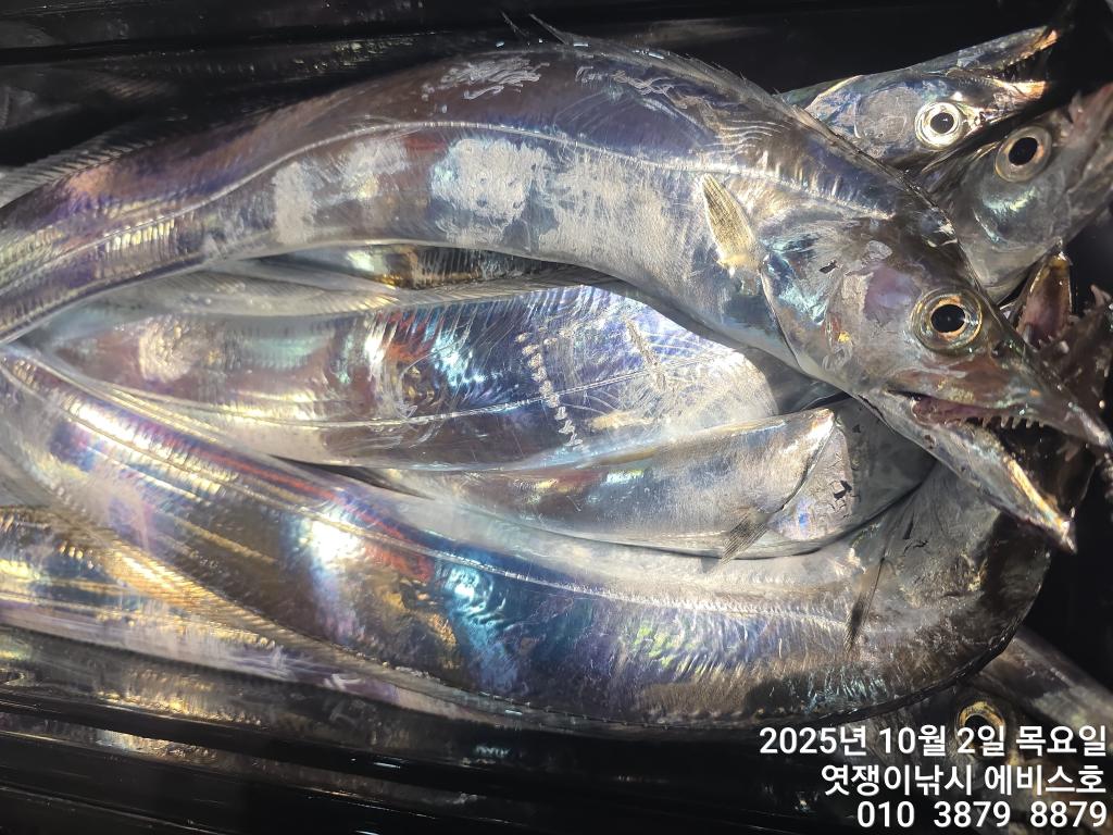 F2790389NX.jpg