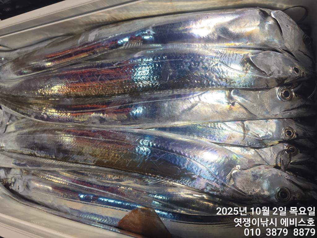 F27903900P.jpg