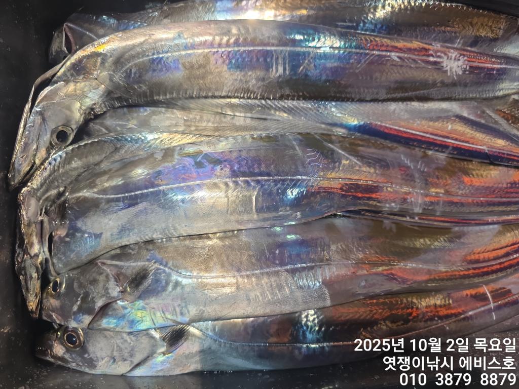 F2790397WY.jpg