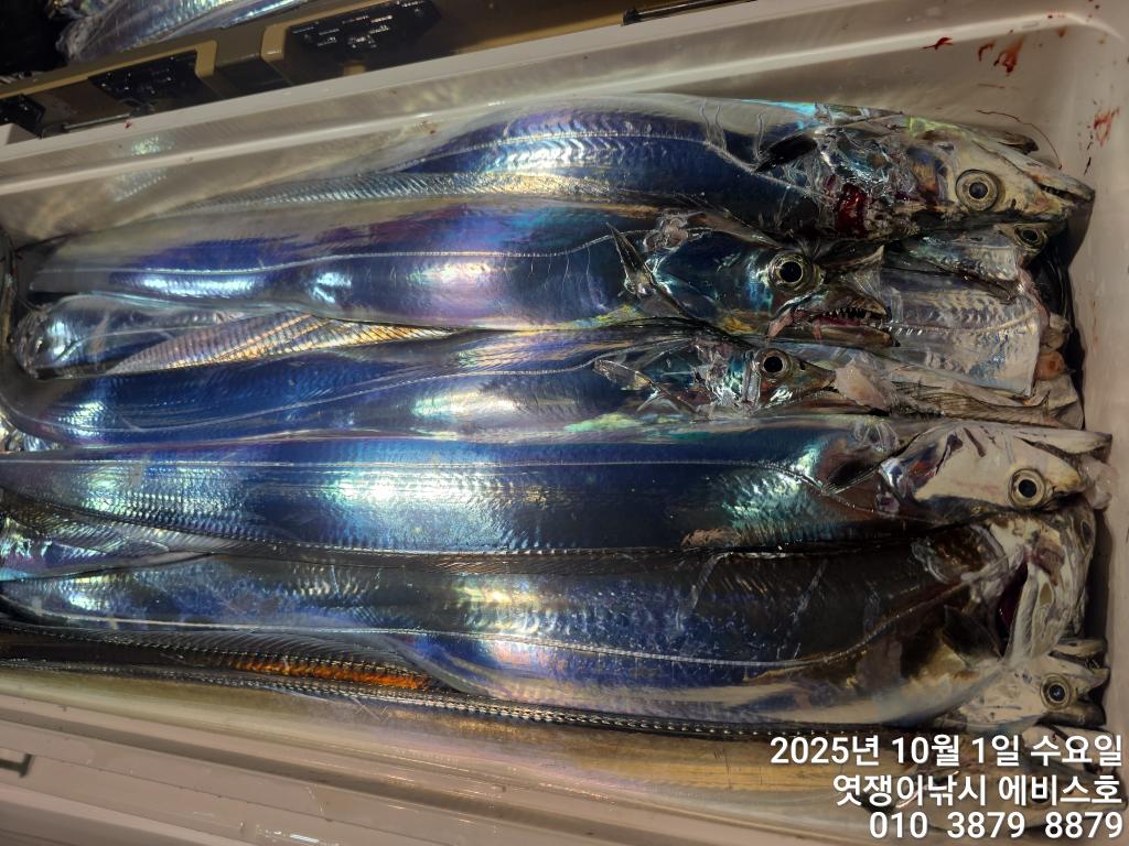 F2790420TF.jpg