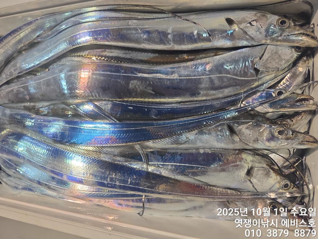 F2790422X8.jpg
