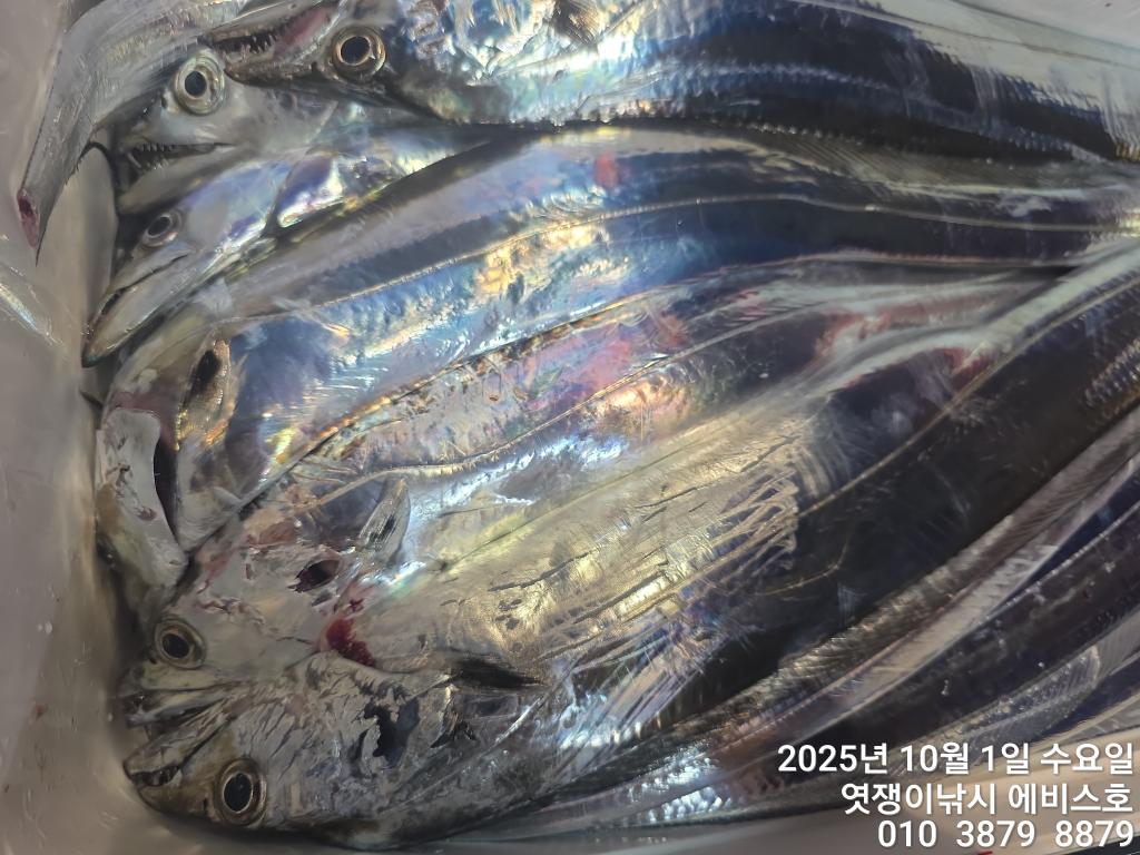F2790428SL.jpg