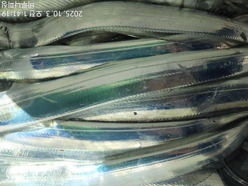 낚시뚜,갈치,속천항(진해),바루나피싱,낚시뚜10