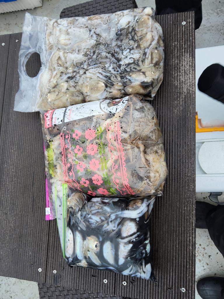 낚시뚜,쭈꾸미,오천항,푸르러호(뉴해양호),낚시뚜4