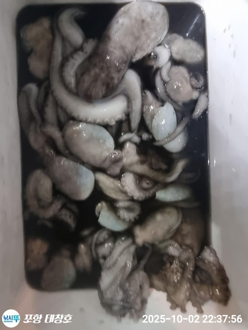 F279069030.jpg