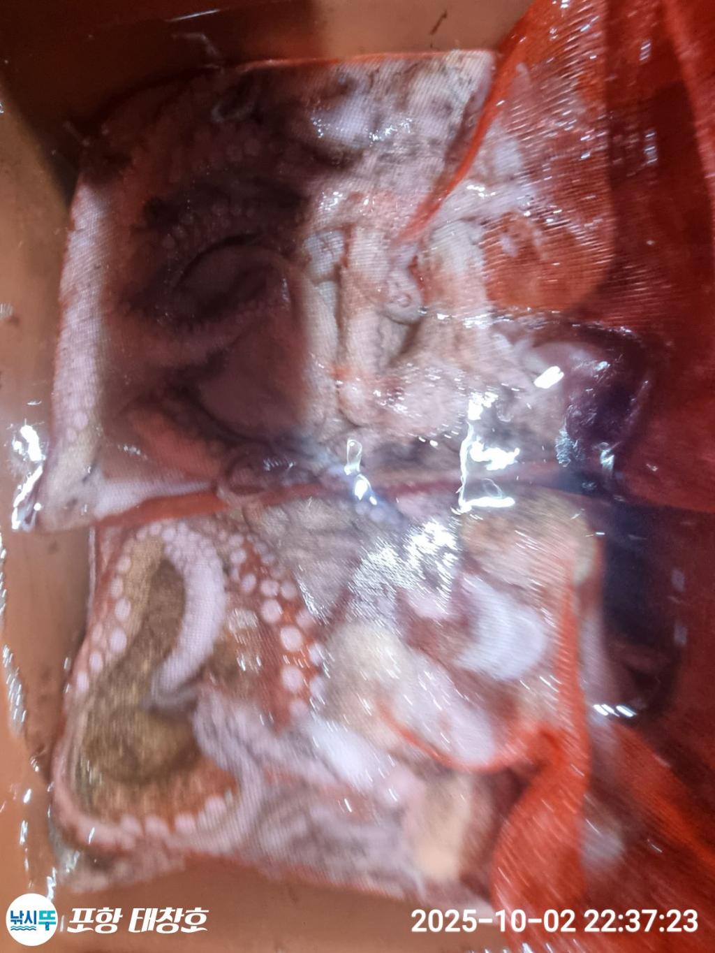 F2790691AI.jpg