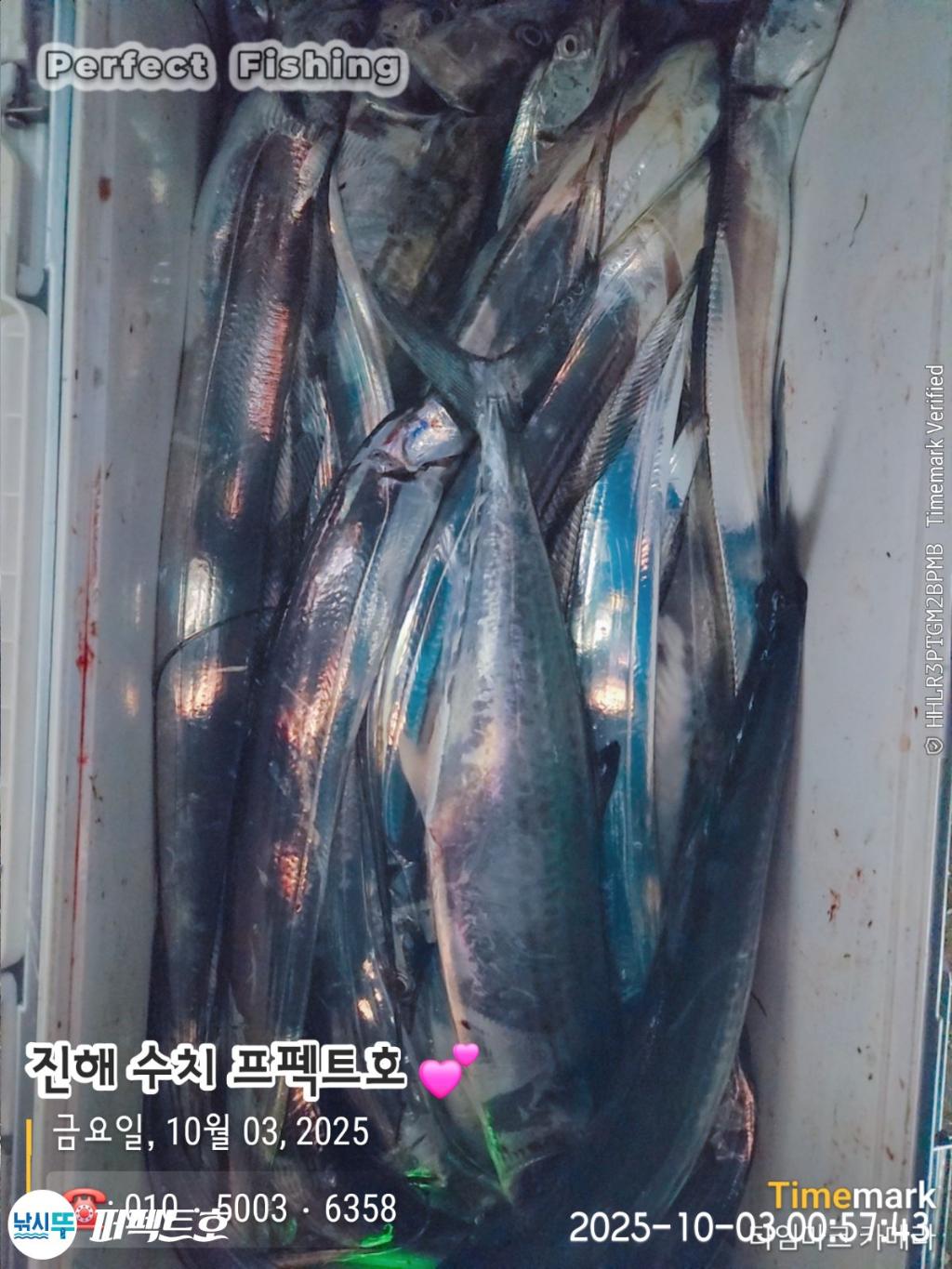 낚시뚜,갈치,진해 수치마을 방파제,퍼펙트호,낚시뚜1