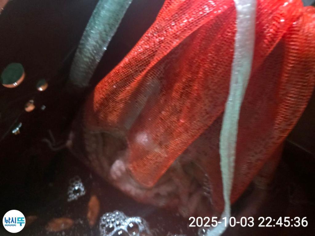 F27908641D.jpg