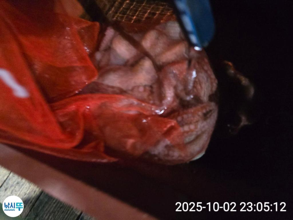 F2790891TF.jpg