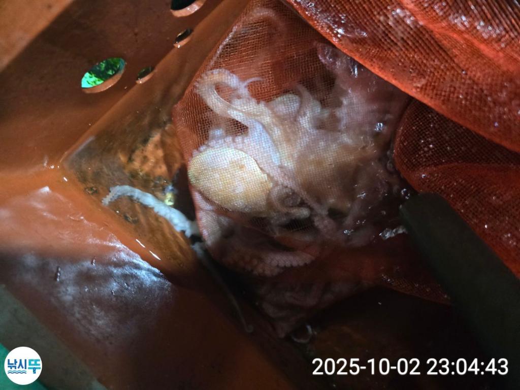 F2790898RQ.jpg