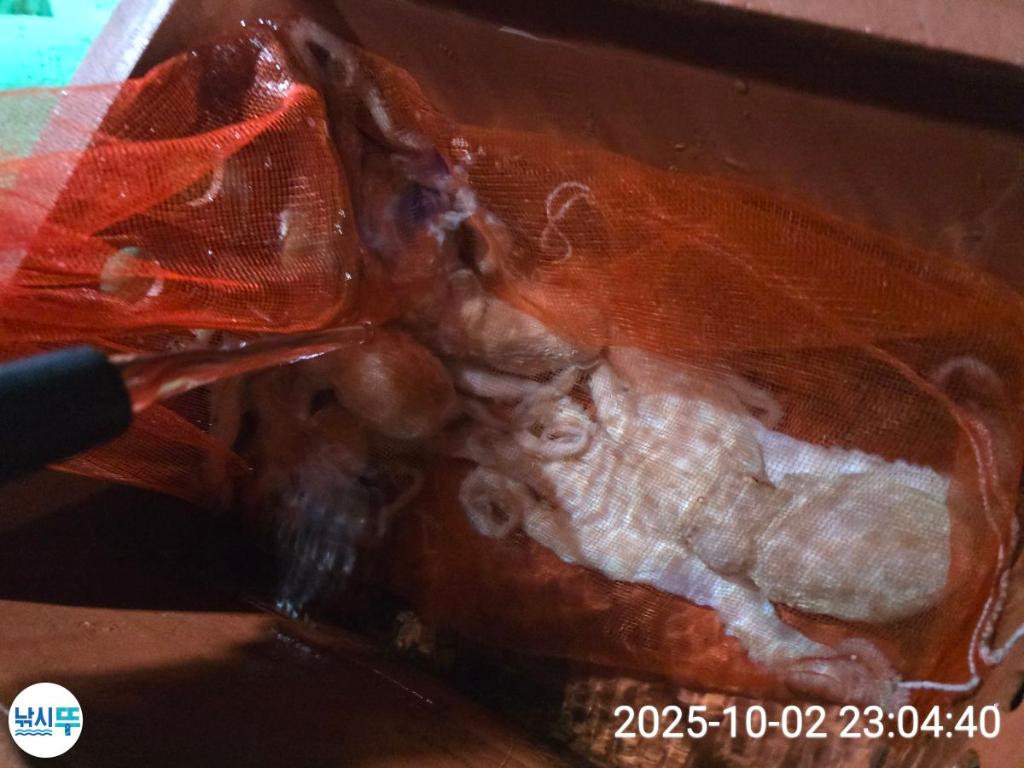 F2790899RN.jpg