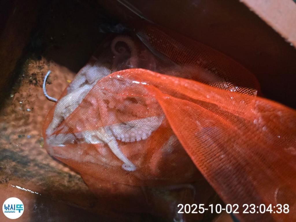 F2790900EB.jpg