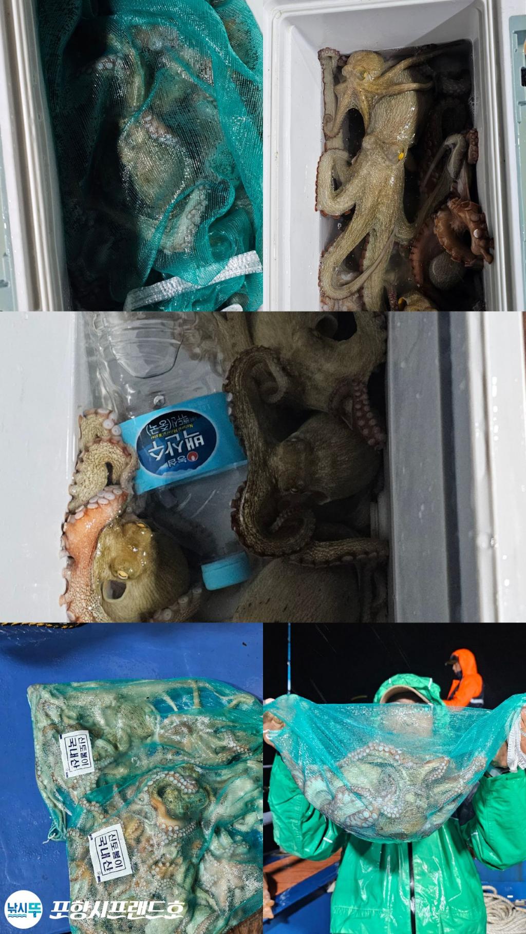 F27909276Q.jpg