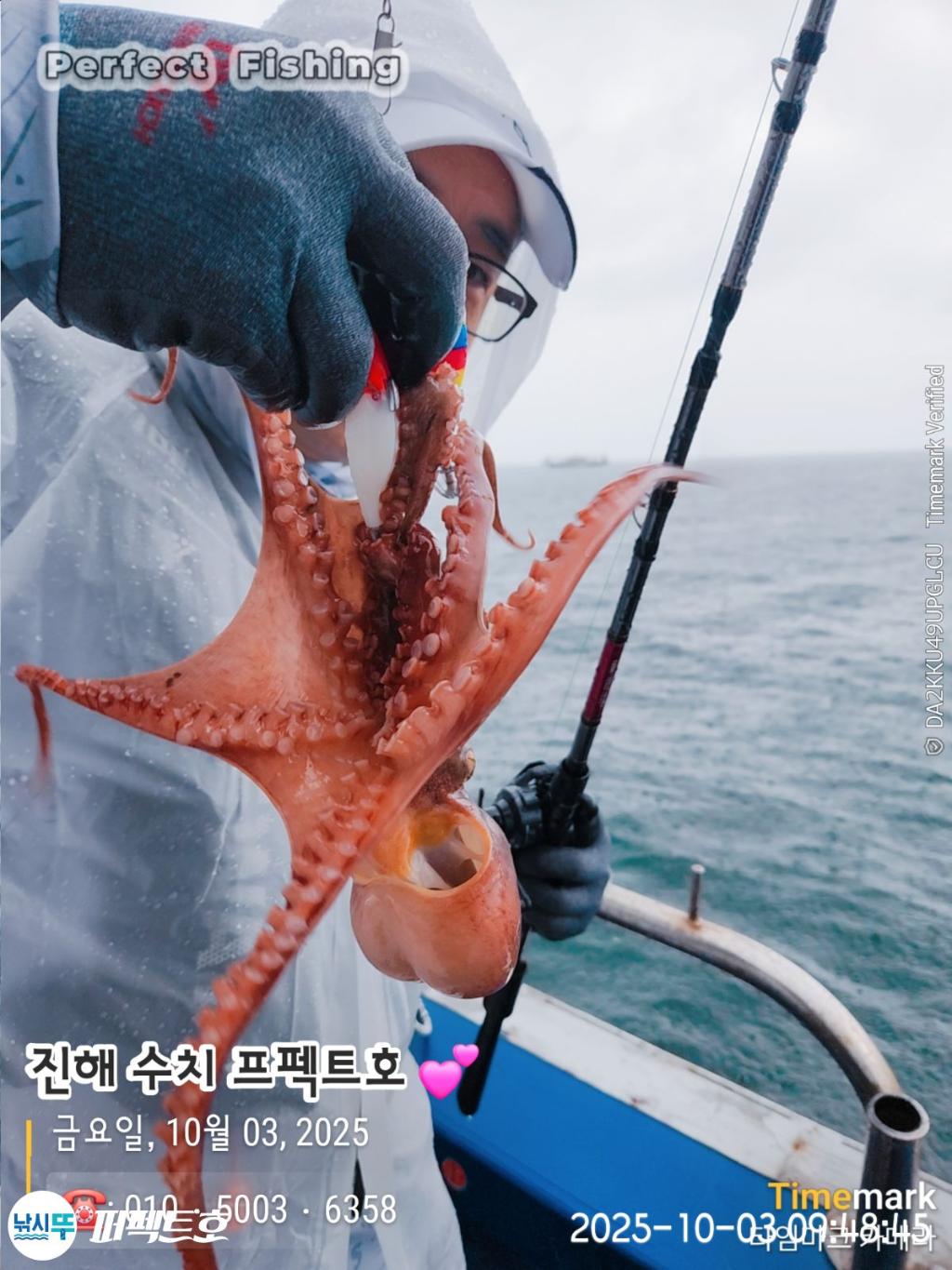 낚시뚜,돌문어,진해 수치마을 방파제,퍼펙트호,낚시뚜13