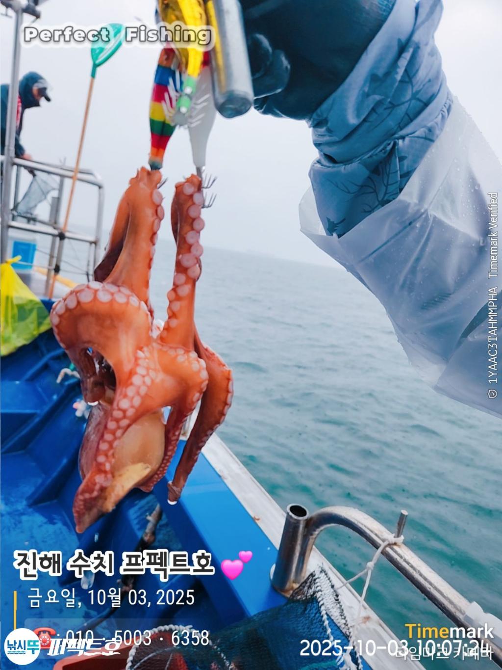 낚시뚜,돌문어,진해 수치마을 방파제,퍼펙트호,낚시뚜12