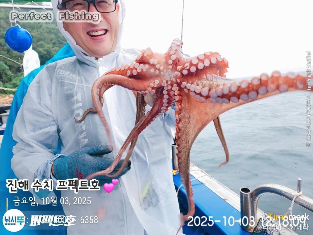 낚시뚜,돌문어,진해 수치마을 방파제,퍼펙트호,낚시뚜9