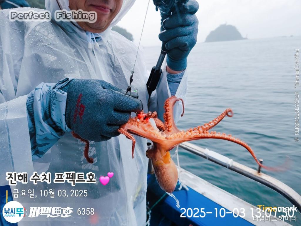 낚시뚜,돌문어,진해 수치마을 방파제,퍼펙트호,낚시뚜6