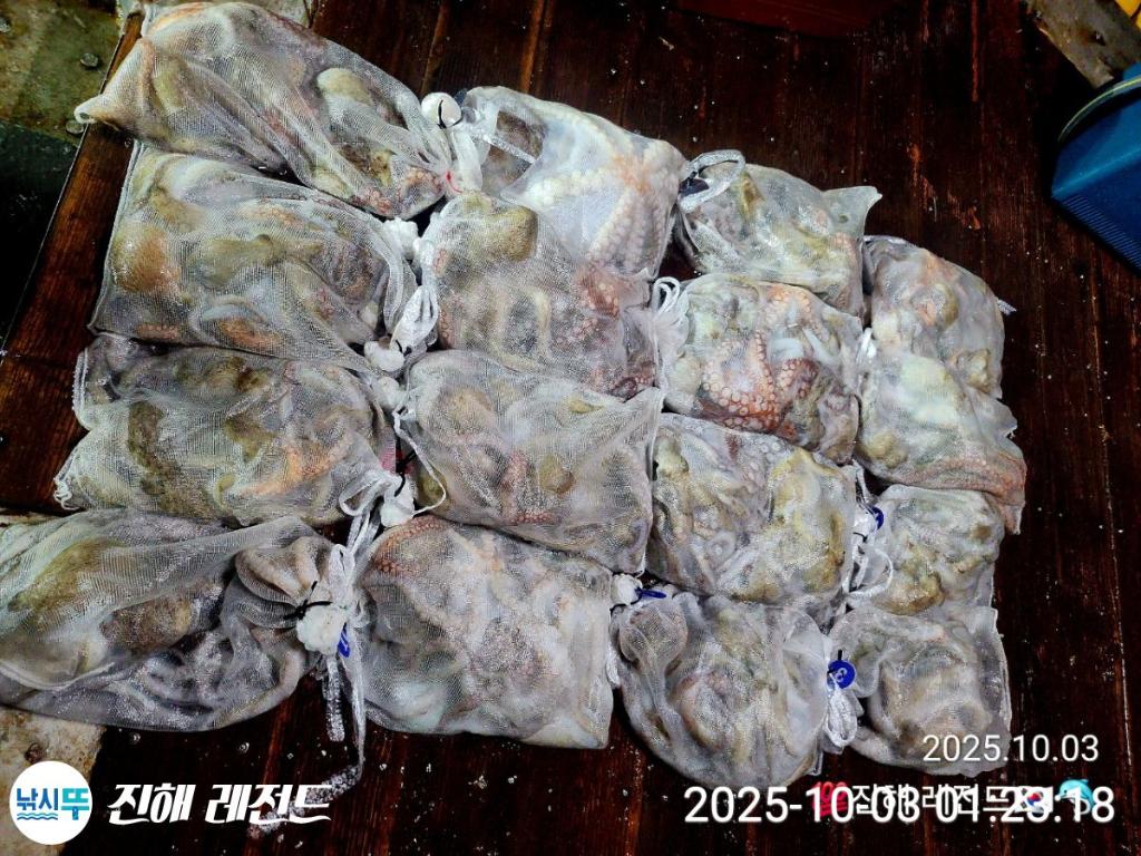 F2791055SF.jpg
