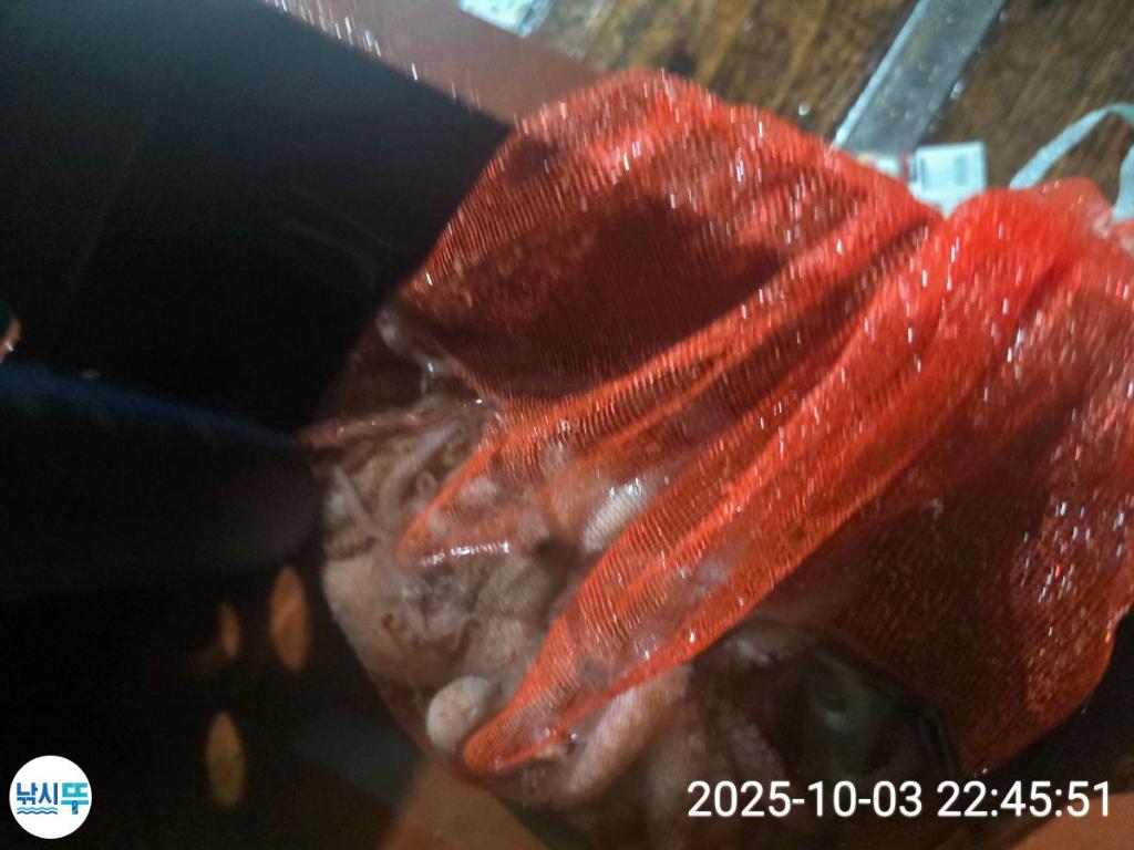 F2791099KK.jpg