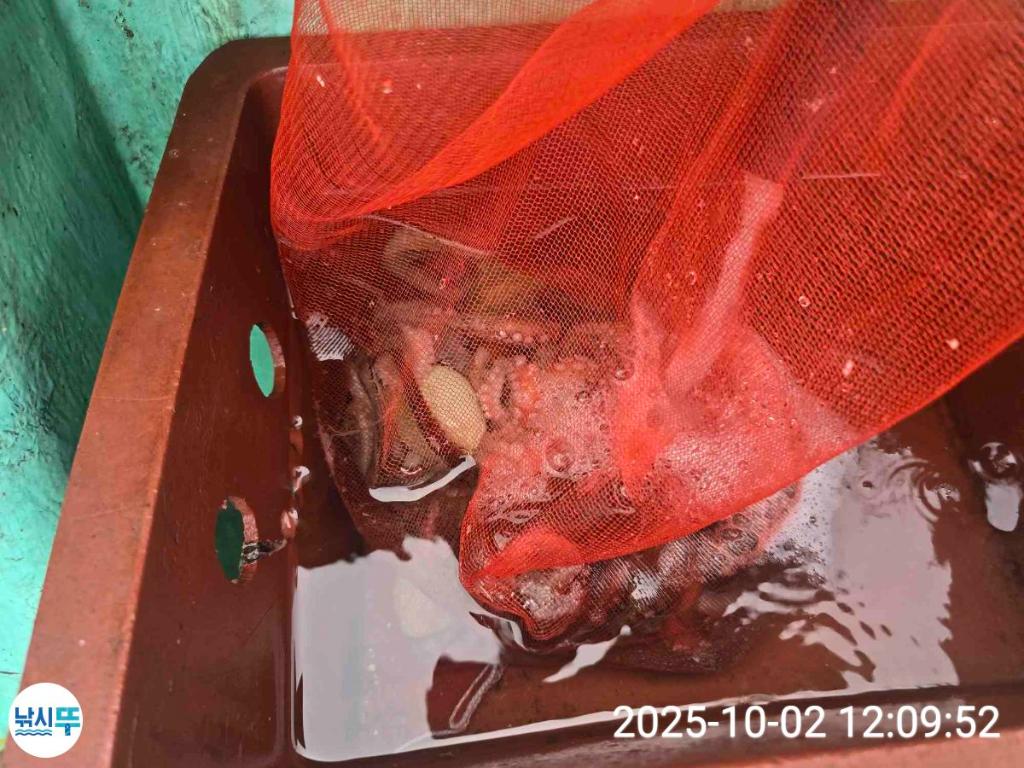 F2791127WS.jpg