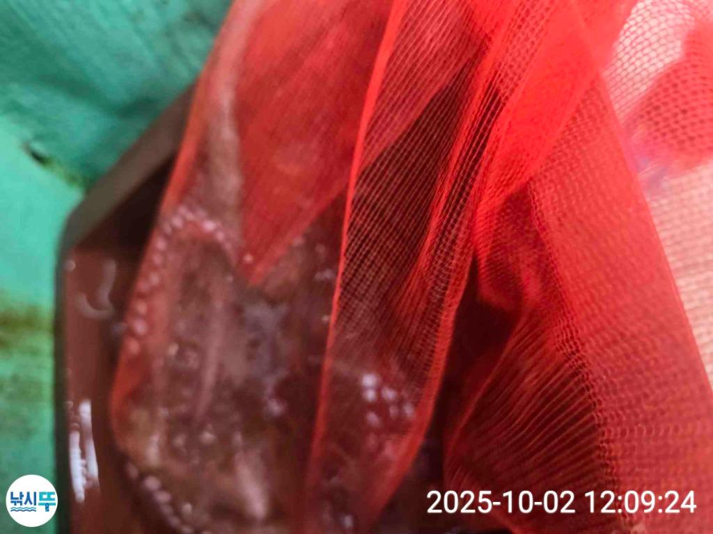F27911284O.jpg