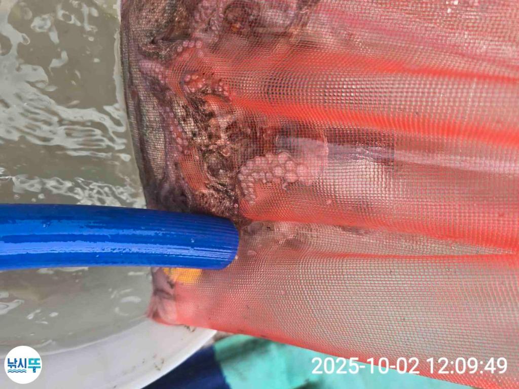 F2791129MC.jpg