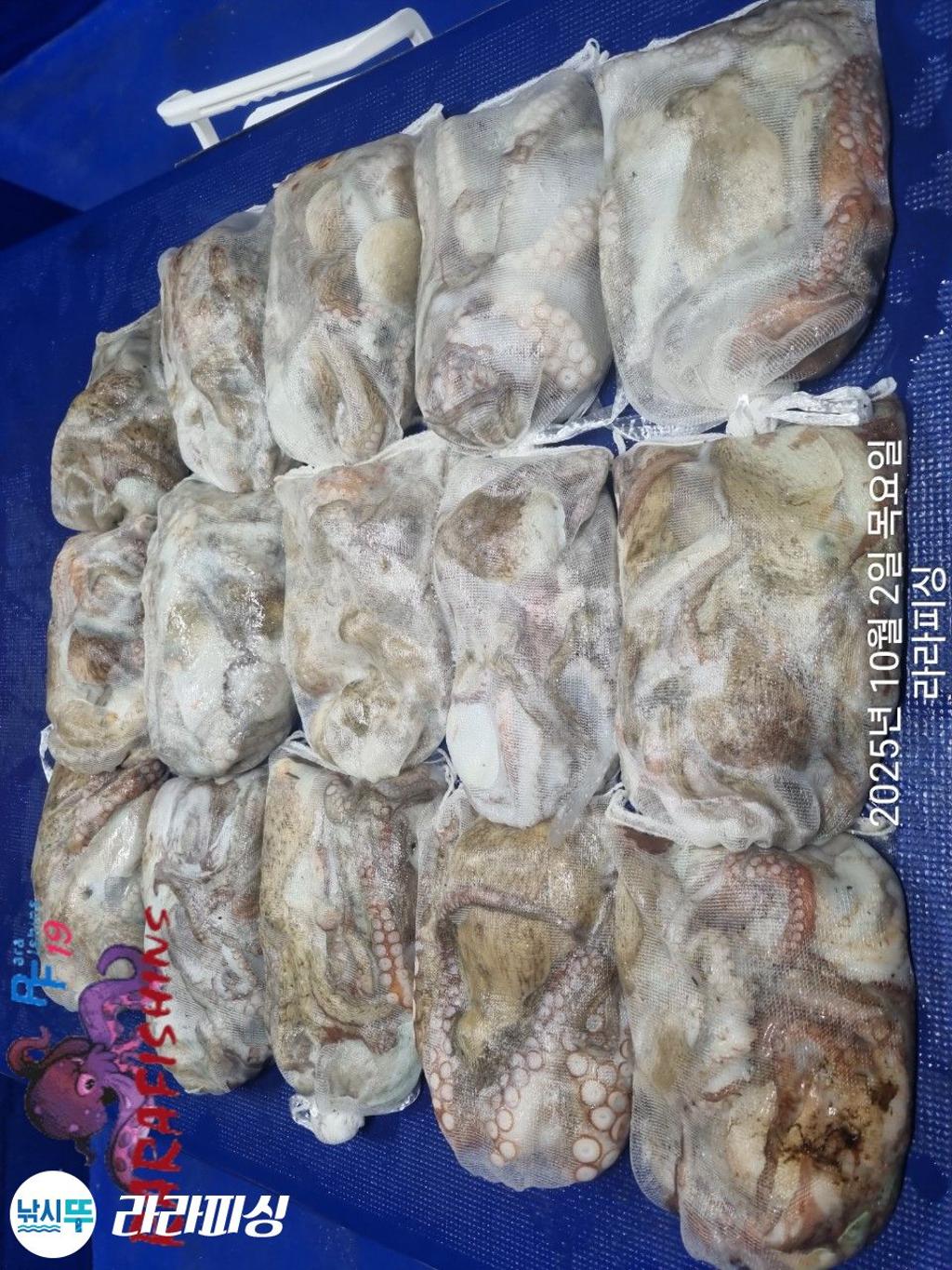 F2791143Z7.jpg