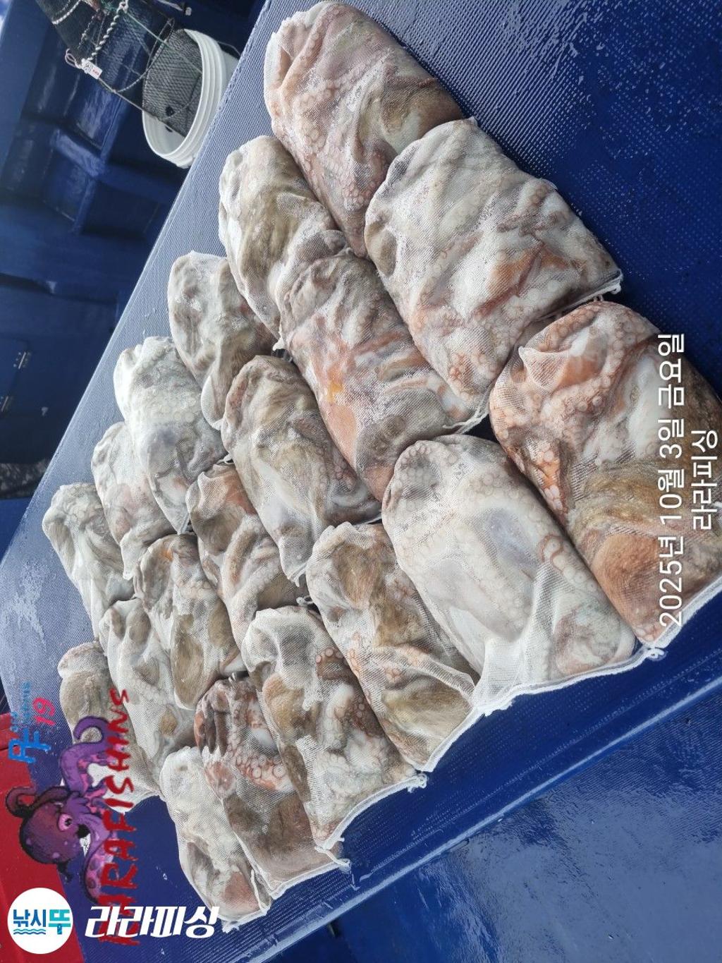 F2791147T4.jpg