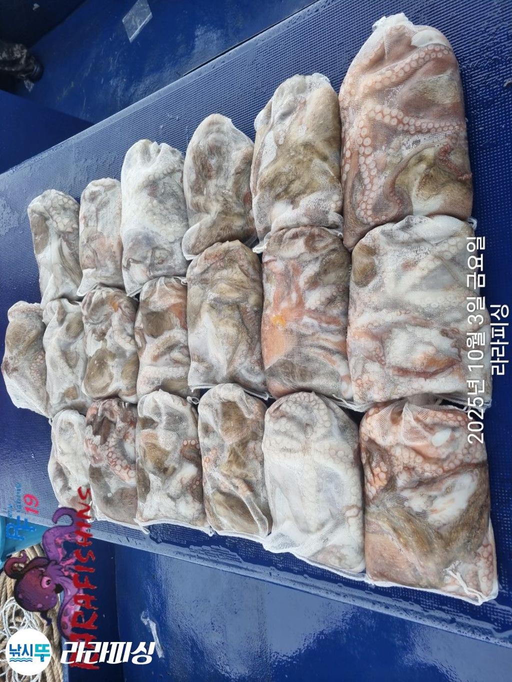 F2791149FV.jpg