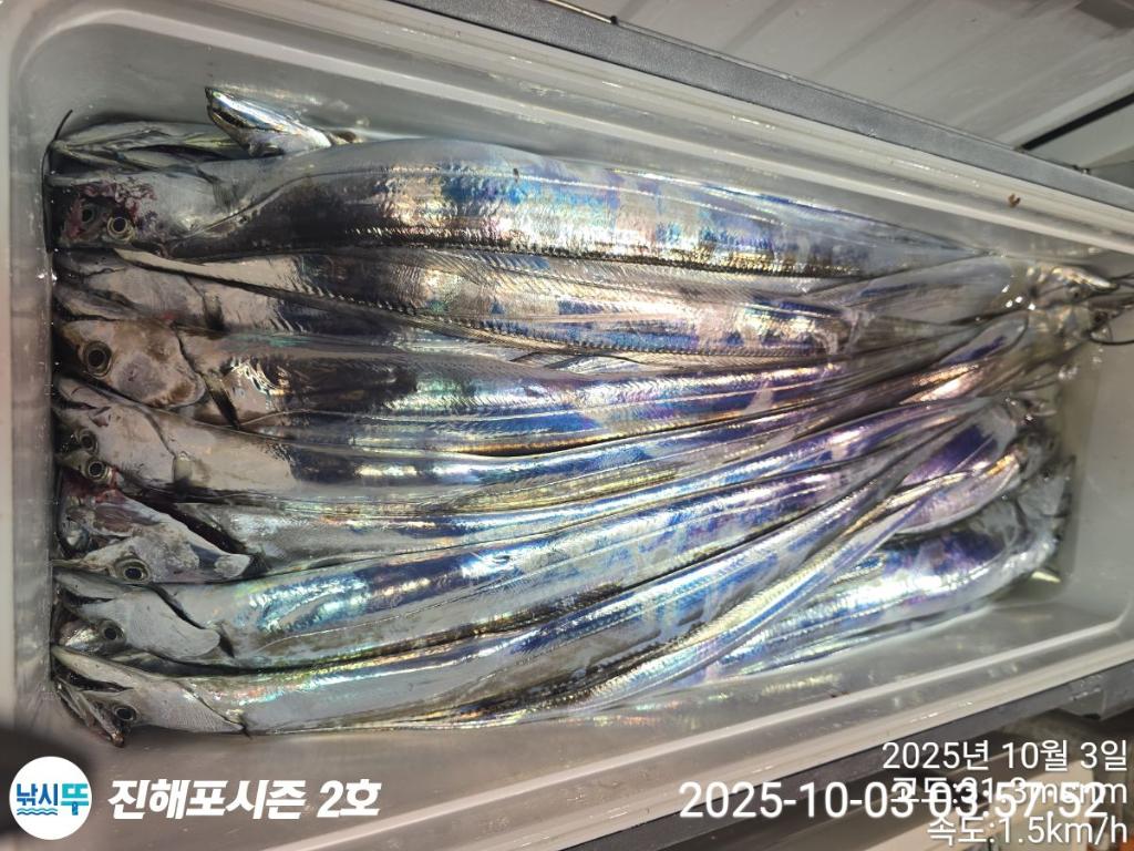 낚시뚜,갈치,진해행암항,진해포시즌 2호,낚시뚜8