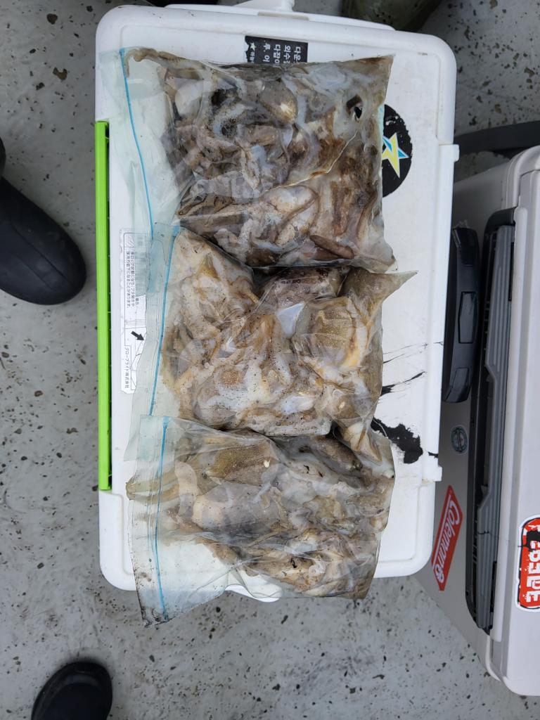 낚시뚜,쭈꾸미,오천항,푸르러호(뉴해양호),낚시뚜0