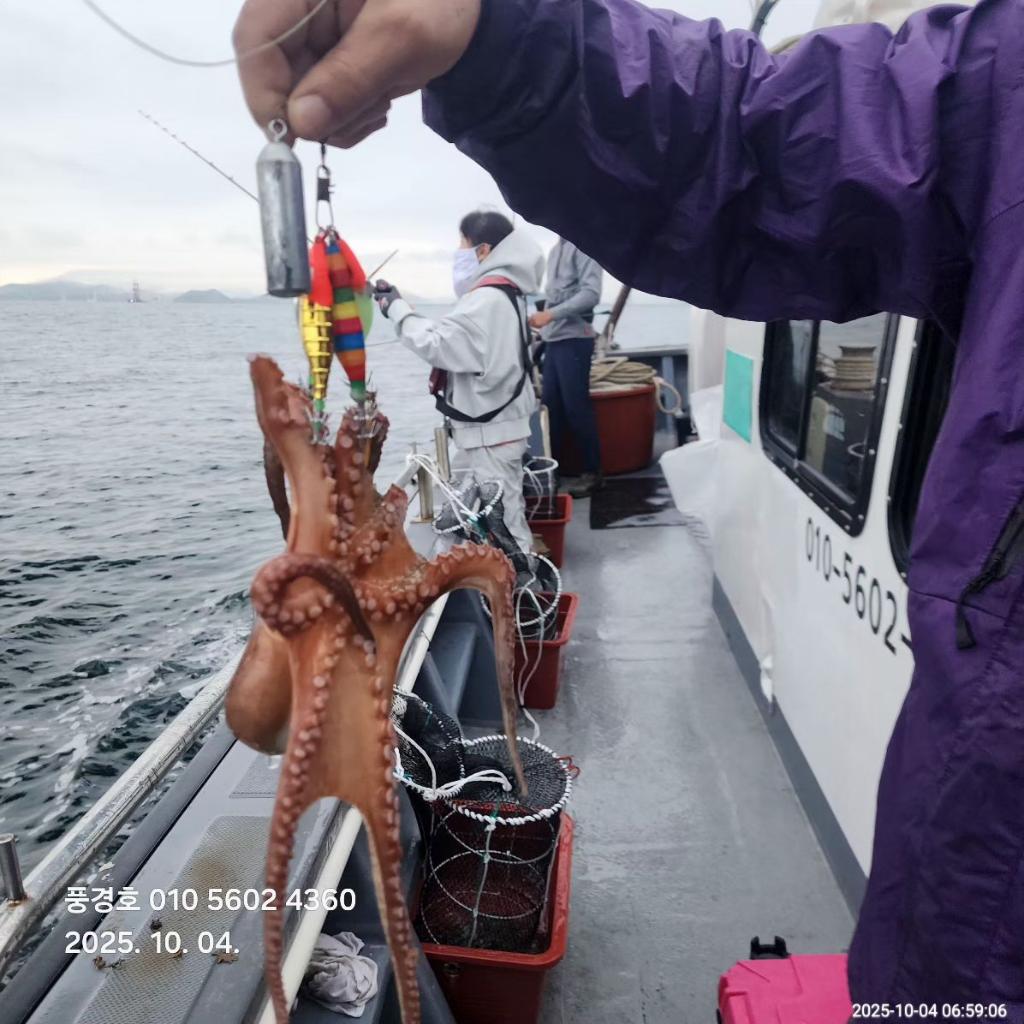 낚시뚜,,진해 안골항,풍경호,낚시뚜11