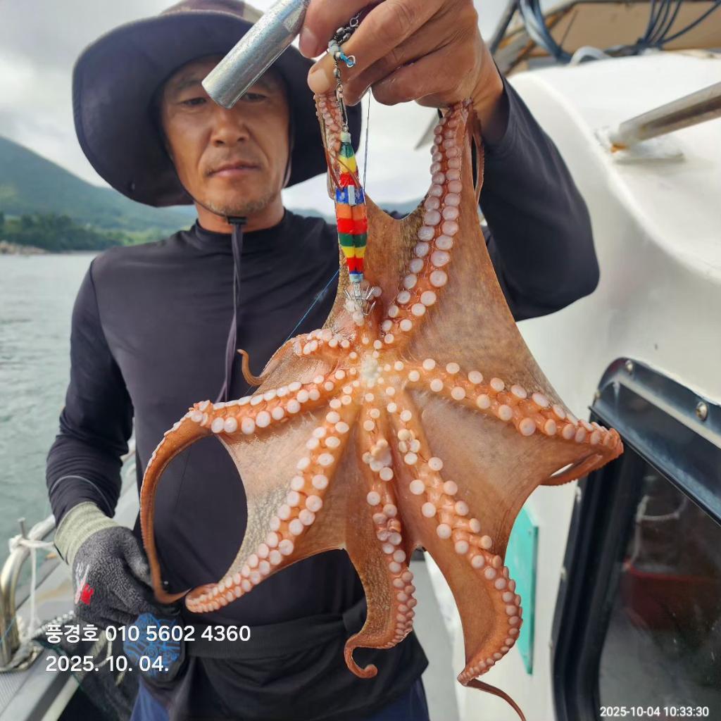 낚시뚜,,진해 안골항,풍경호,낚시뚜6